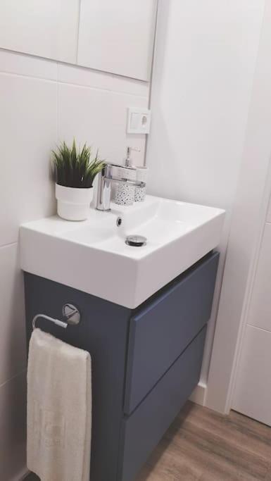 Jara Mar Apartment Torrevieja Bagian luar foto